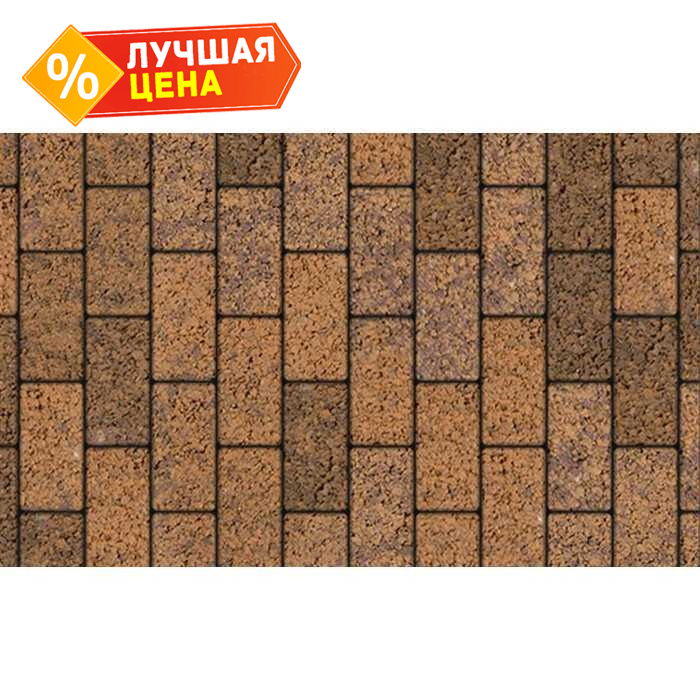 Плитка тротуарная Прямоугольник (Ла-Линия) А.2.П.4 Листопад гранит Арабская ночь 200x100x40 мм